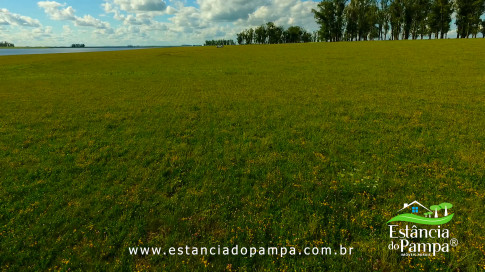 DOS EÓLICOS VIRA P FAZENDA_Moment.00_07_13_09.Quadro248_f9fef96b1981e702730bdc5ad1fdf6b67e195748.jpg